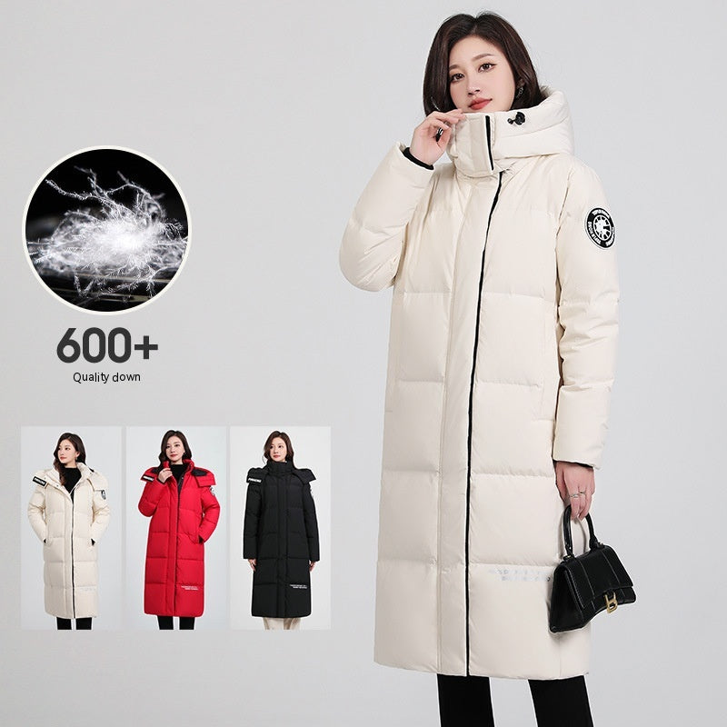 c80badf41004071ee348c87e24aed41d
